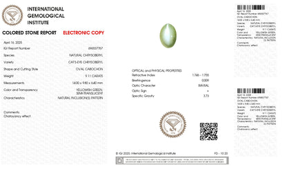 Natural Cat'S Eye (Lehsuniya) 9.11 Carats