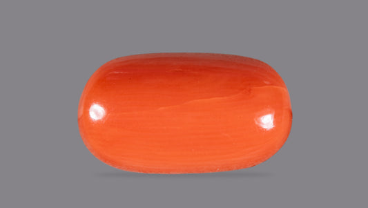NATURAL RED CORAL (Moonga) 5.74 CARATS
