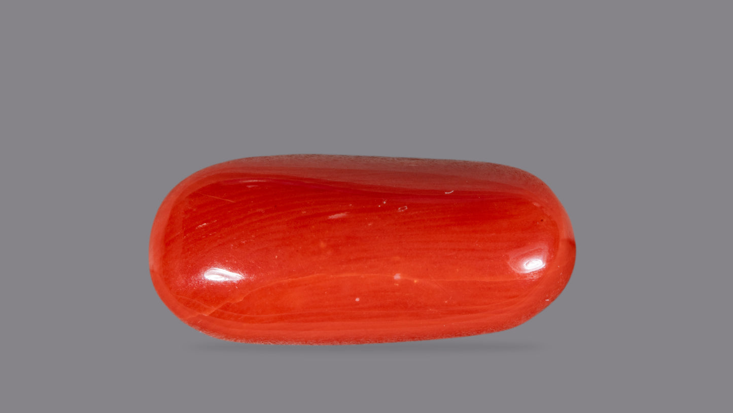 Natural Italian Red Coral (Moonga) 5.91 Carats