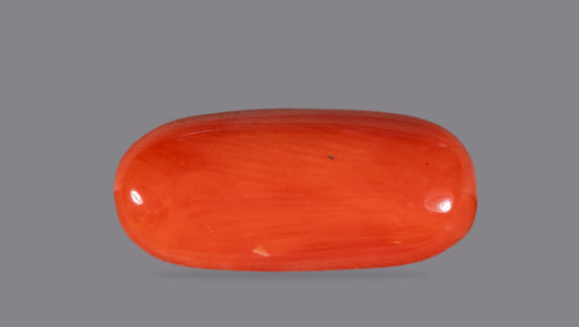 Natural Italian Red Coral (Moonga) 7.09 Carats