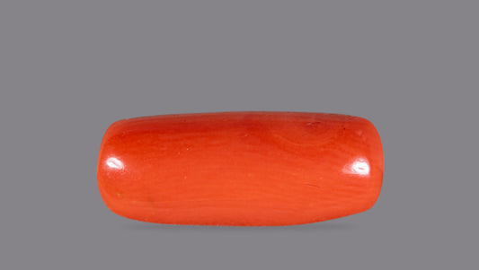 Natural Red Coral (Moonga) 7.09 Carats