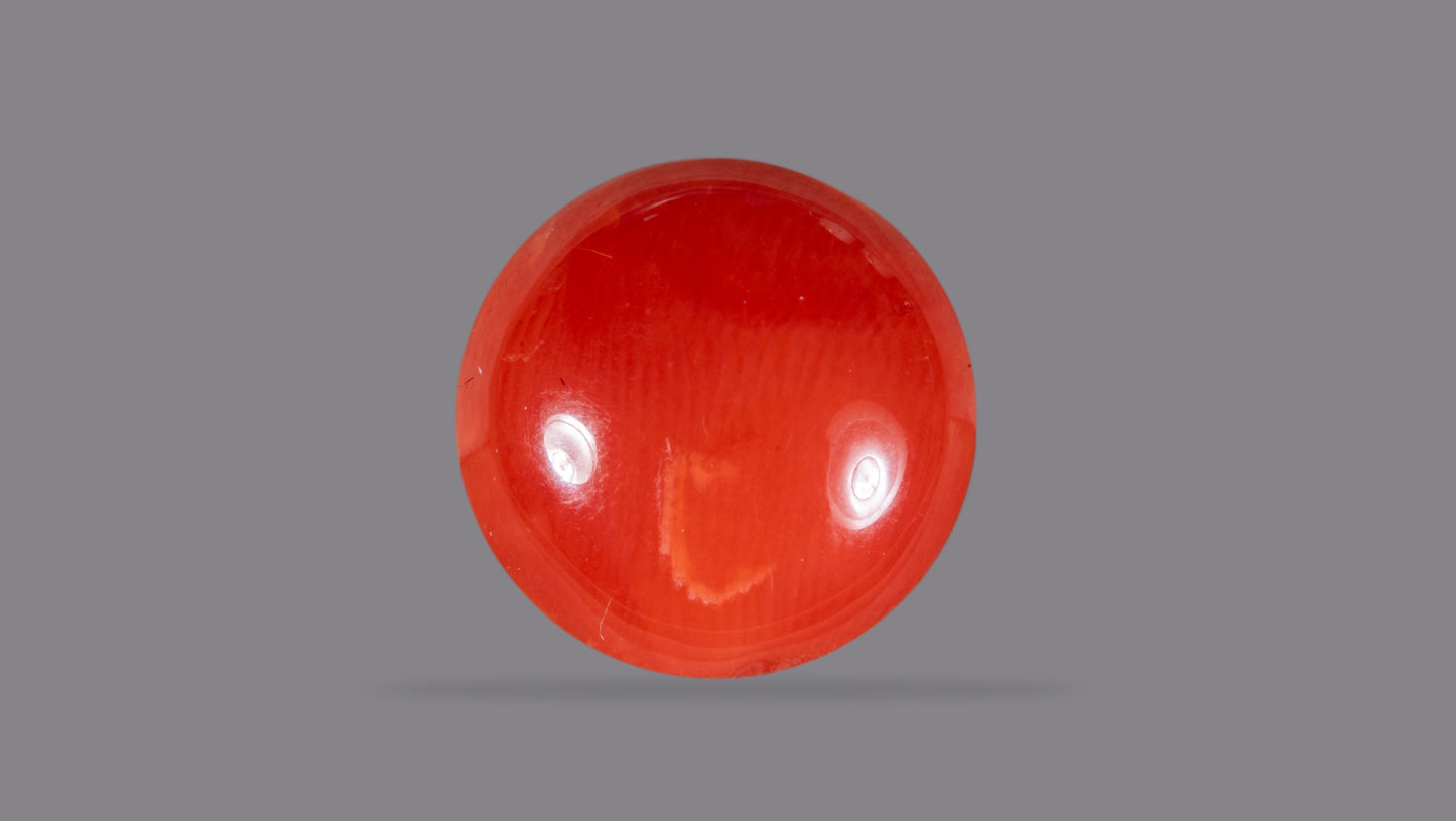 Japanese Red Coral (Moonga) 4.47 Carats