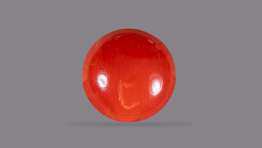 Japanese Red Coral (Moonga) 4.47 Carats
