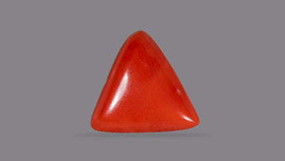 NATURAL RED CORAL (Moonga) 4.27 CARATS