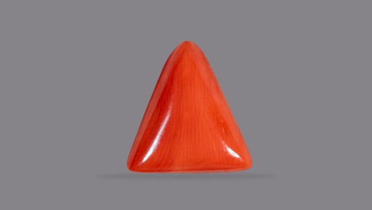 Natural Italian Red Coral (Moonga) 5.74 Carats