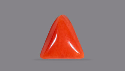 Natural Italian Red Coral (Moonga) 5.42 Carats