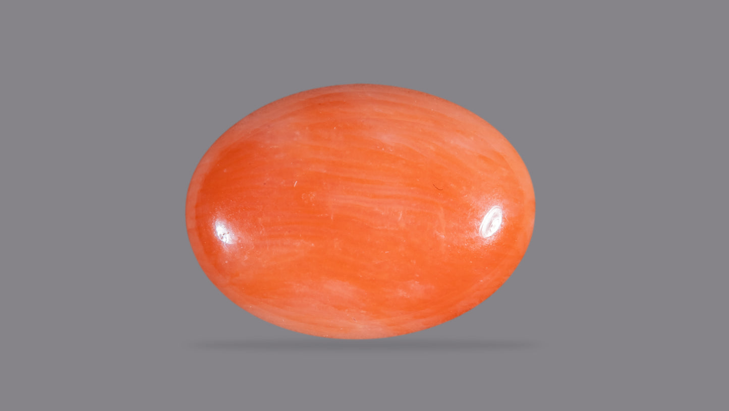 Japanese Red Coral (Moonga) 4.28 Carats