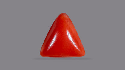 Natural Italian Red Coral (Moonga) 6.26 Carats