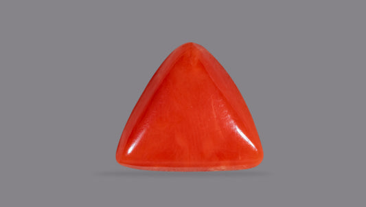 Natural Italian Red Coral (Moonga) 6.22 Carats