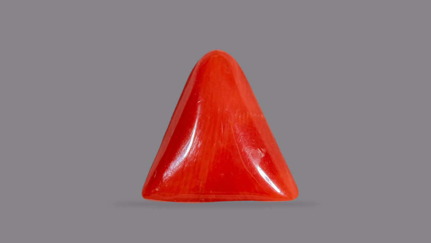 Natural Italian Red Coral (Moonga) 6.95 Carats