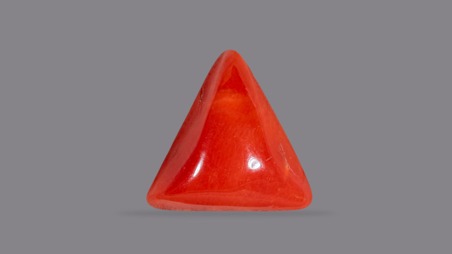 Natural Italian Red Coral (Moonga) 5.96 Carats
