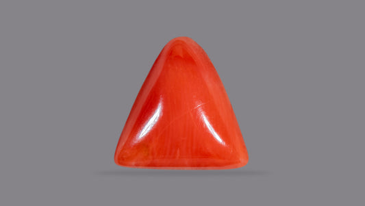 Natural Italian Red Coral (Moonga) 5.34 Carats