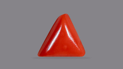 Natural Italian Red Coral (Moonga) 6.27 Carats