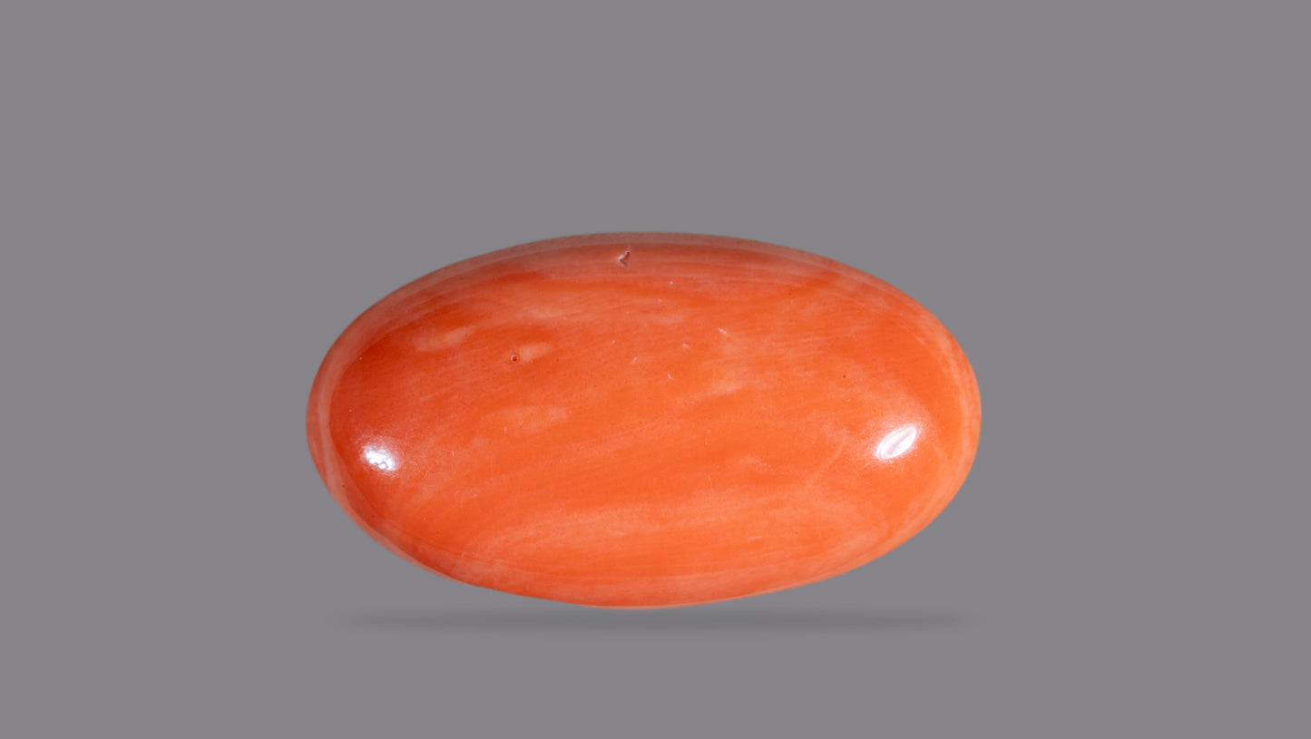 Japanese Red Coral (Moonga) 23.92 Carats