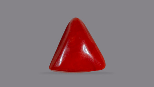 Natural Red Coral (Moonga) 14.78 Carats