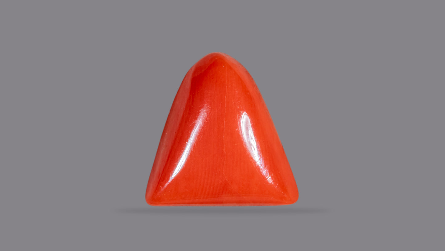Natural Italian Red Coral (Moonga) 7.15 Carats