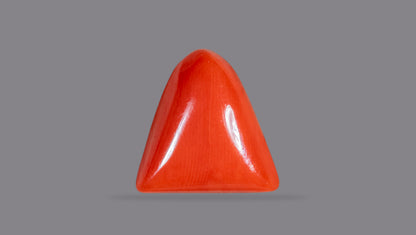 Natural Italian Red Coral (Moonga) 7.15 Carats