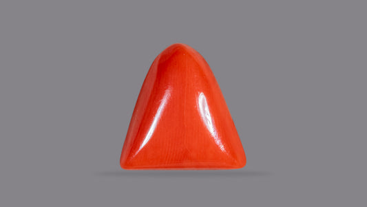 Natural Italian Red Coral (Moonga) 7.15 Carats