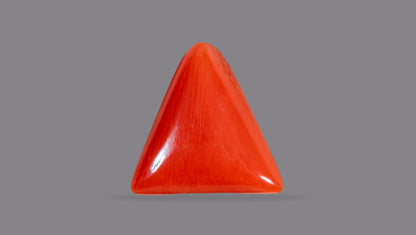 Natural Italian Red Coral (Moonga) 6.96 Carats
