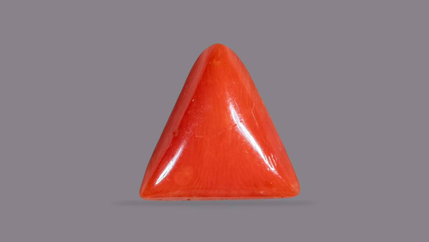 Natural Italian Red Coral (Moonga) 6.29 Carats