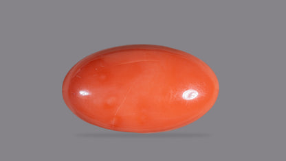 Japanese Red Coral (Moonga) 46.06 Carats
