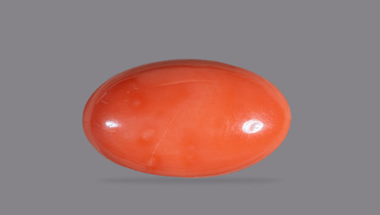 Japanese Red Coral (Moonga) 46.06 Carats