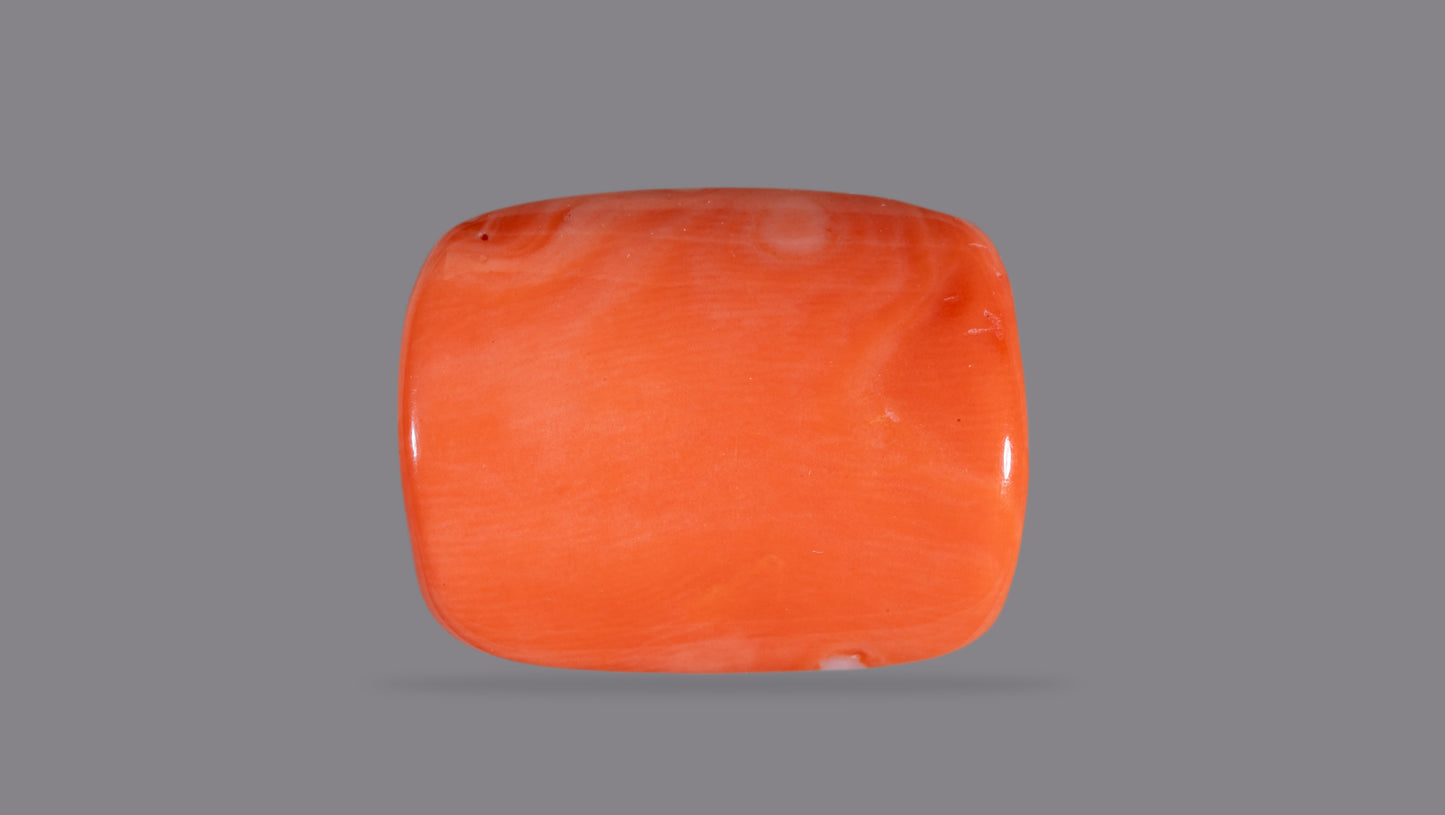 Japanese Red Coral (Moonga) 21.15 Carats