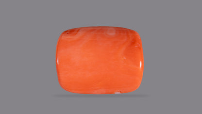Japanese Red Coral (Moonga) 21.15 Carats