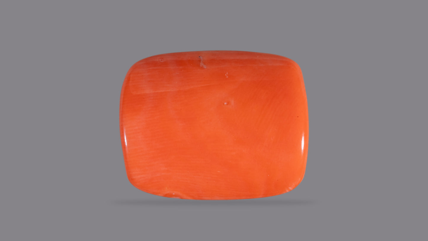 Japanese Red Coral (Moonga) 19.90 Carats