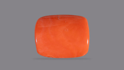 Japanese Red Coral (Moonga) 19.90 Carats