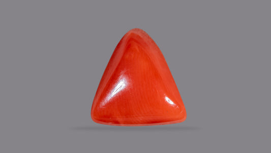 Natural Italian Red Coral (Moonga) 5.86 Carats