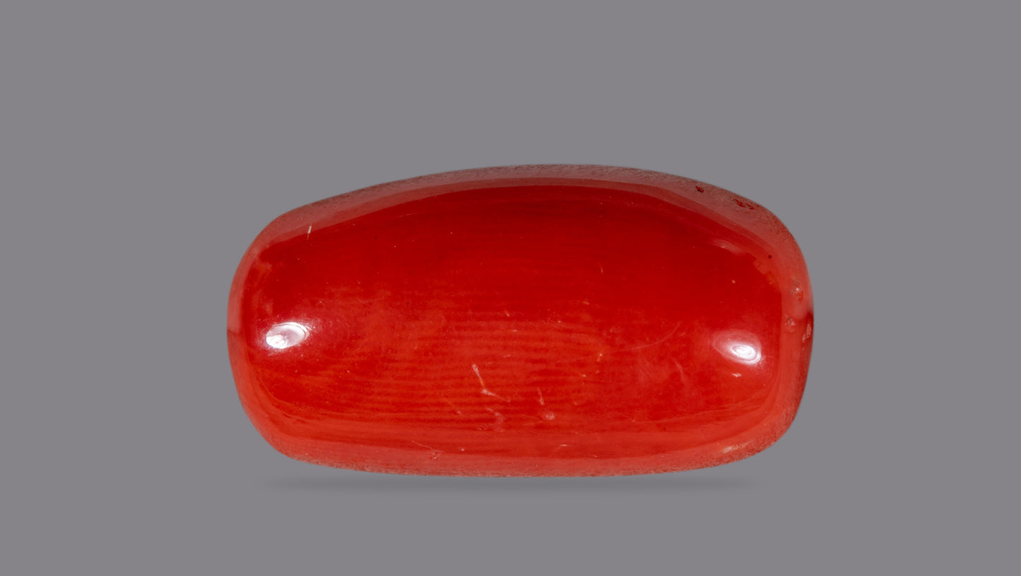 Natural Italian Red Coral (Moonga) 7.04 Carats