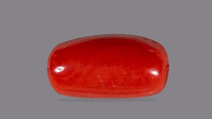 Natural Italian Red Coral (Moonga) 7.04 Carats