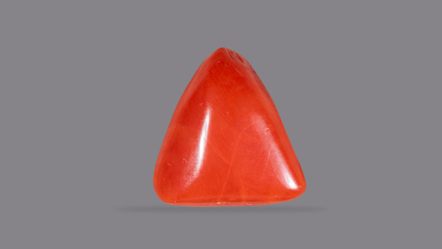 NATURAL RED CORAL (Moonga) 7.39 CARATS
