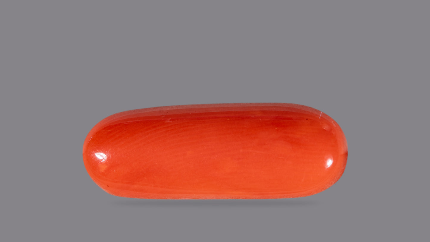 NATURAL RED CORAL (Moonga) 6.58 CARATS