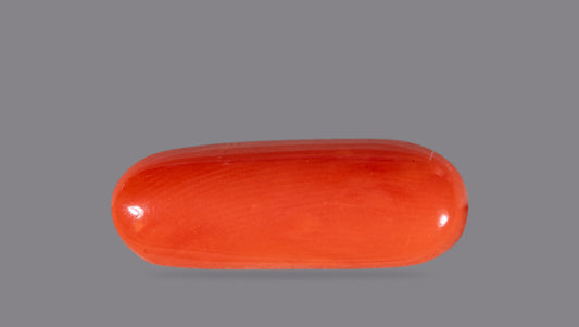 NATURAL RED CORAL (Moonga) 6.58 CARATS