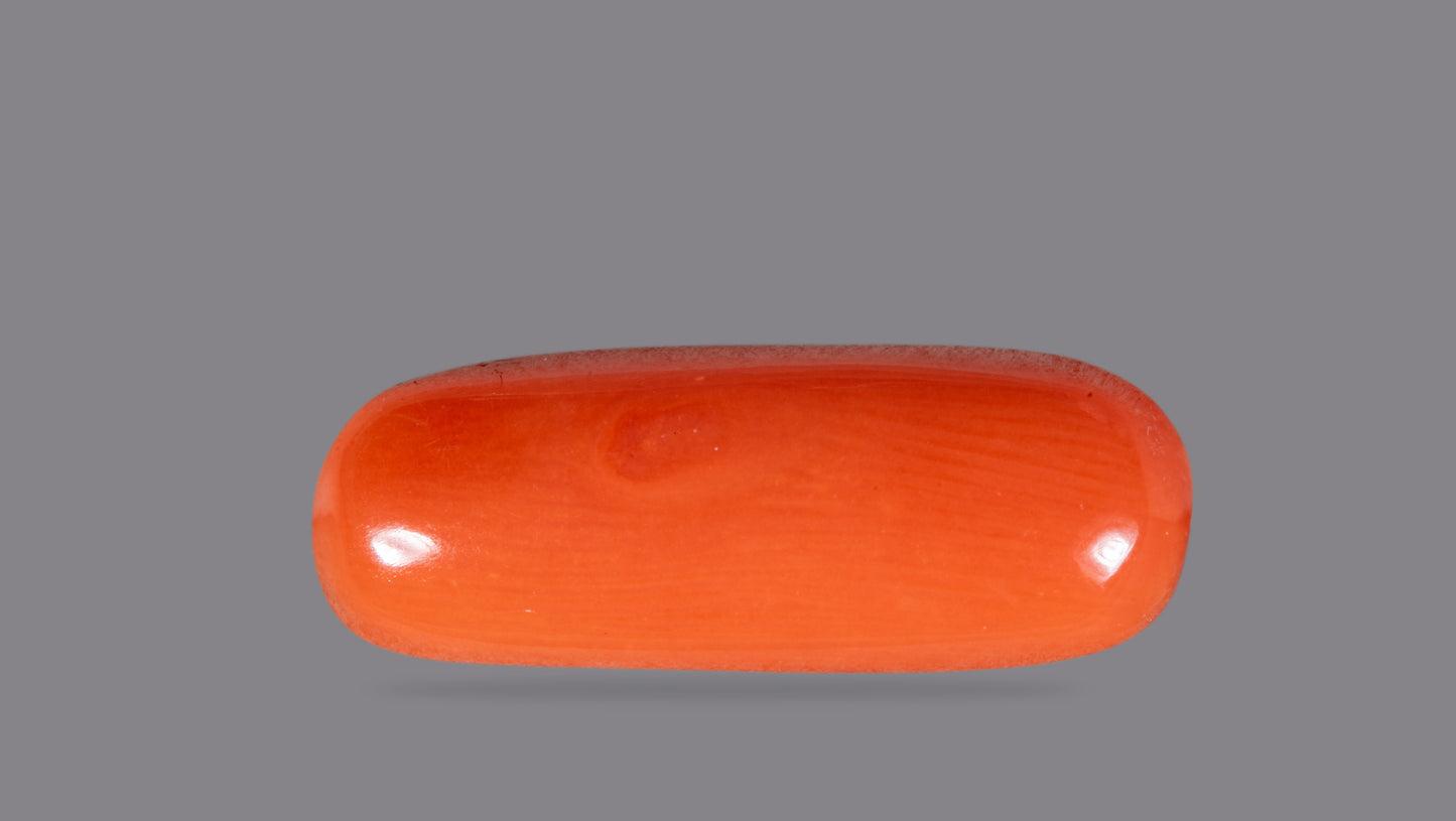 NATURAL RED CORAL (Moonga) 6.04 CARATS