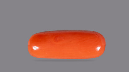 NATURAL RED CORAL (Moonga) 6.04 CARATS