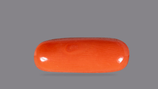 NATURAL RED CORAL (Moonga) 6.04 CARATS