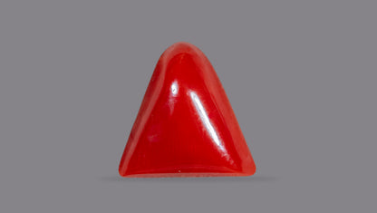 Natural Italian Red Coral (Moonga) 6.91 Carats