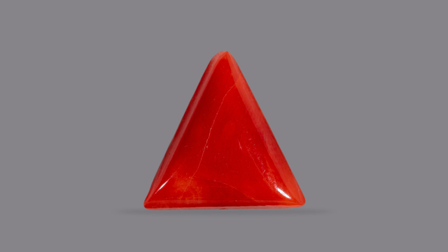 Natural Italian Red Coral (Moonga) 6.81 Carats