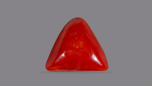 Natural Italian Red Coral (Moonga) 6.28 Carats