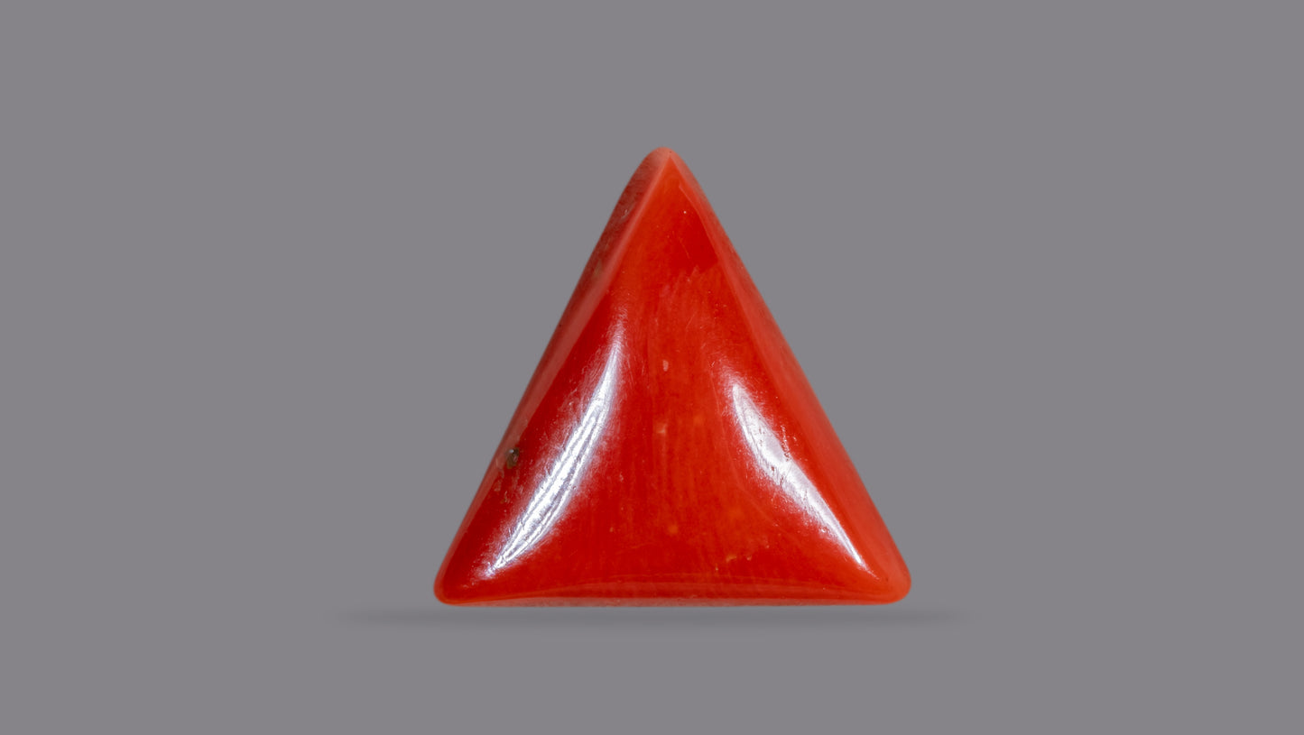 NATURAL RED CORAL (Moonga) 6.30 CARATS