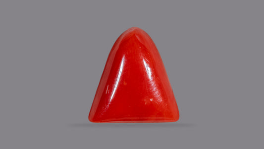 Natural Italian Red Coral (Moonga) 6.45 Carats