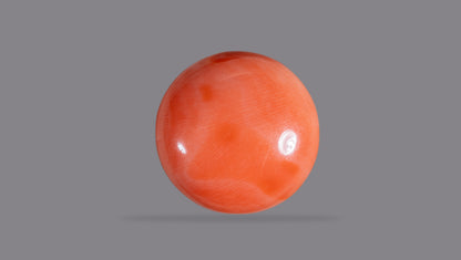 Japanese Red Coral (Moonga) 14.79 Carats