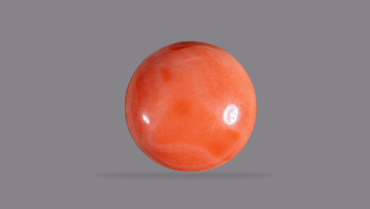 Japanese Red Coral (Moonga) 14.79 Carats