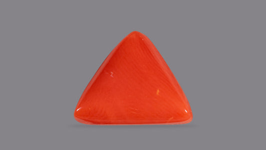 Natural Italian Red Coral (Moonga) 7.05 Carats