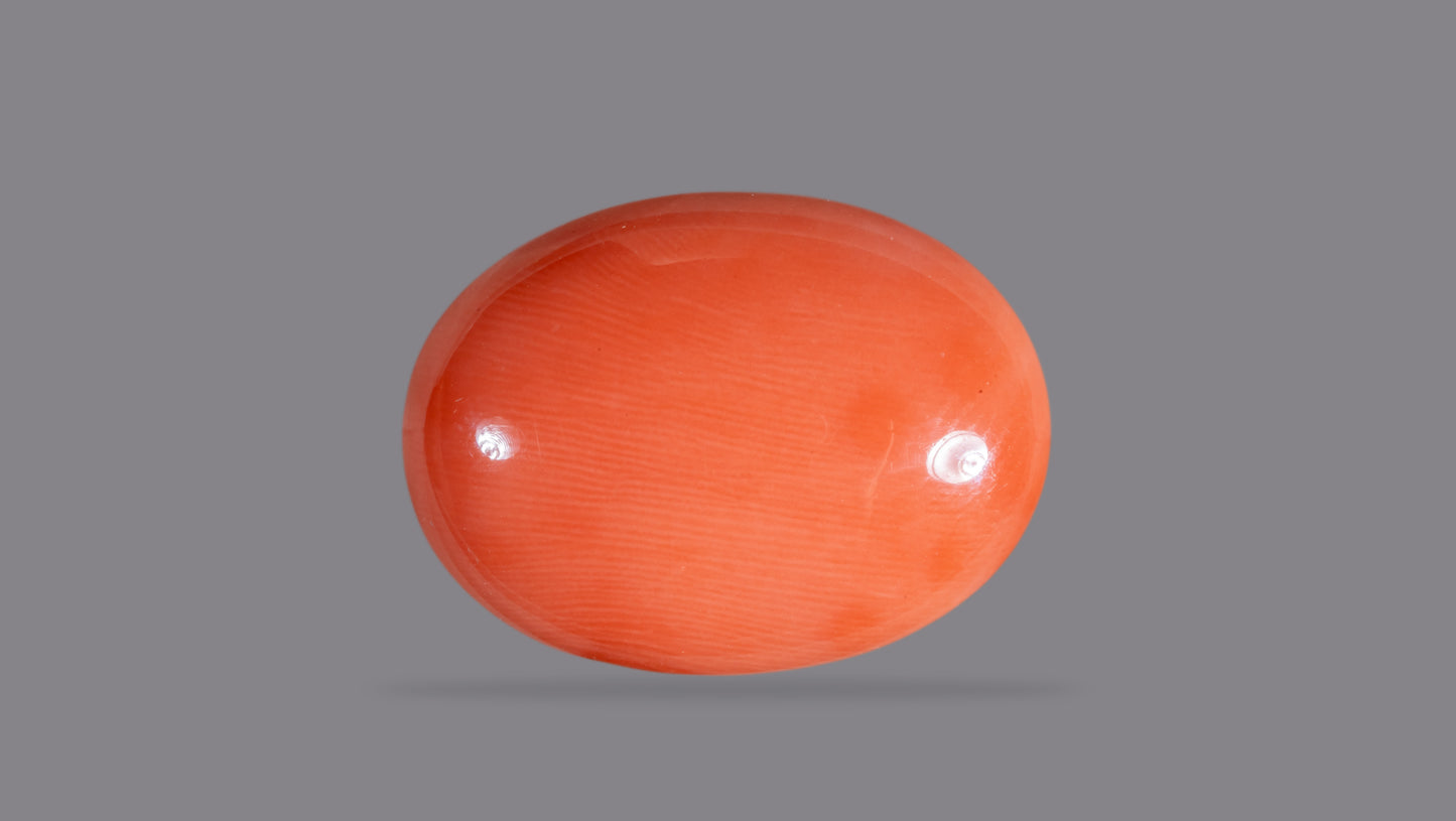 Japanese Red Coral (Moonga) 13.83 Carats