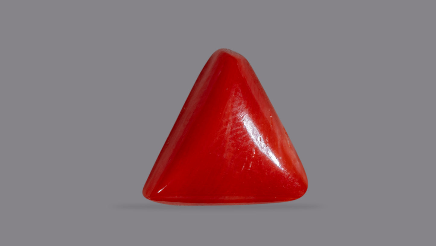 Natural Italian Red Coral (Moonga) 6.16 Carats
