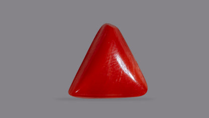 Natural Italian Red Coral (Moonga) 6.16 Carats